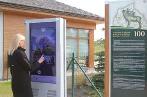 Interaktīvu e-pakalpojumu izveide un pieejamība