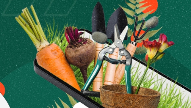 Grafiska kompozīcija ar dārza instrumentiem, burkānu, bieti un puķu podu, kas "izaug" no viedtālruņa ekrāna uz zaļa fona