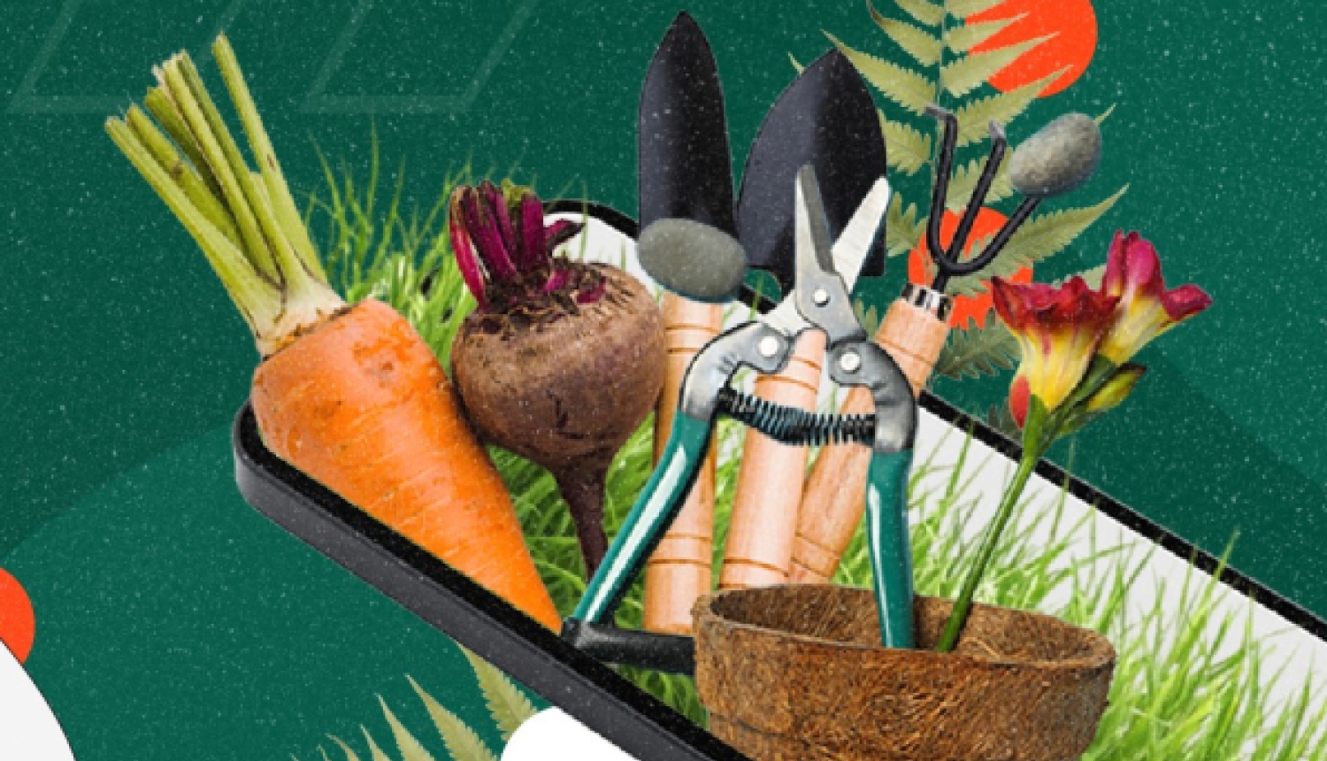 Grafiska kompozīcija ar dārza instrumentiem, burkānu, bieti un puķu podu, kas "izaug" no viedtālruņa ekrāna uz zaļa fona