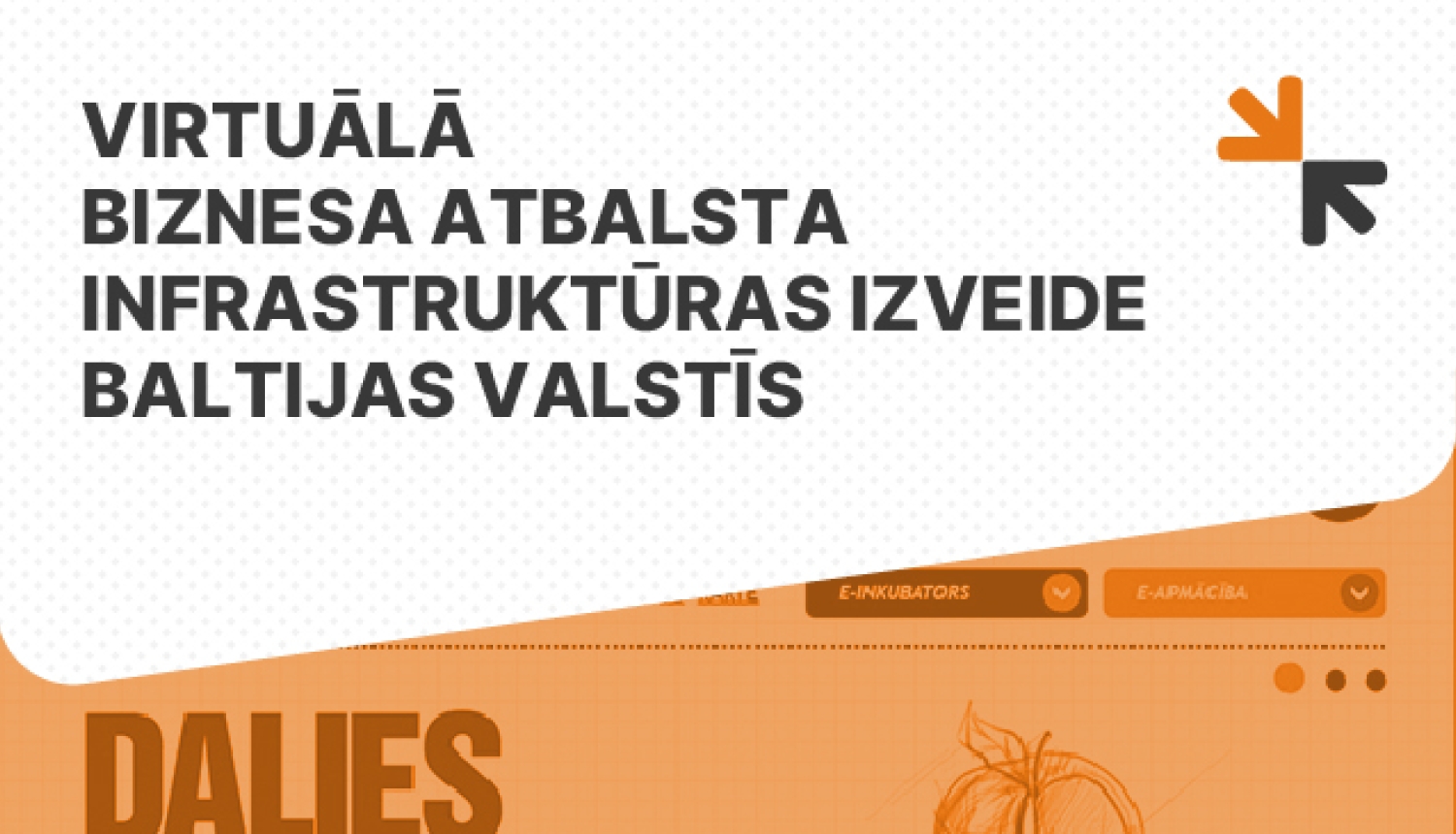 Virtuālā biznesa atbalsta infrastruktūras izveide Baltijas valstīs